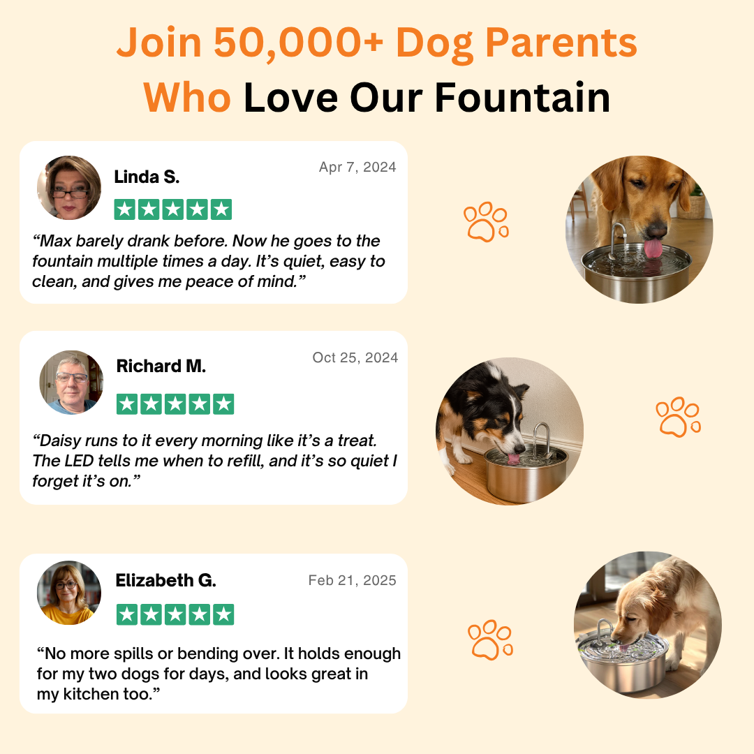 WoefMeow™ | The dog Fountain