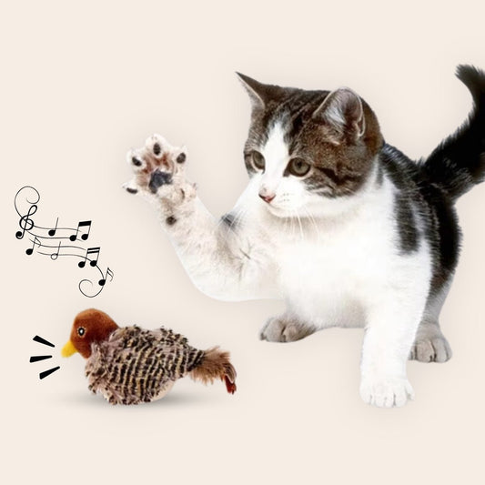 CharmPaws® Realistische Simulatie Vogel voor Katten - Kleine Mus