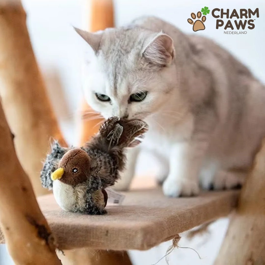 CharmPaws® Realistische Simulatie Vogel voor Katten - Kleine Mus