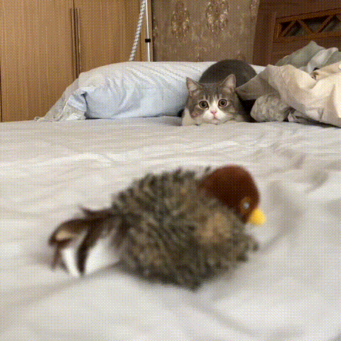 CharmPaws® Realistische Simulatie Vogel voor Katten - Kleine Mus