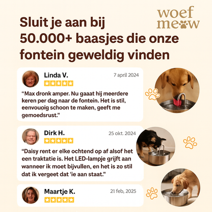 WoefMeow AquaFlow™