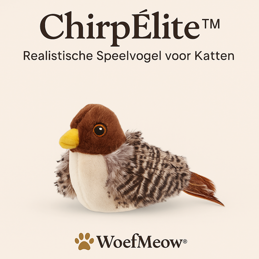 ChirpÉlite™ – Realistische Speelvogel voor Katten | WoefMeow®